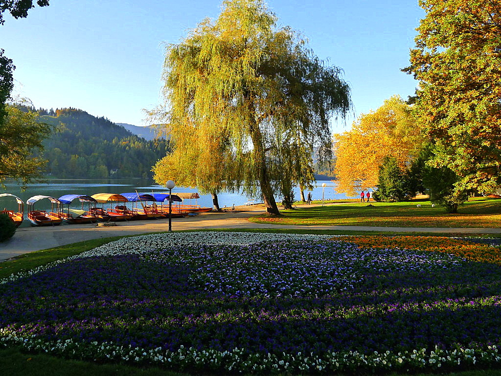 Bled Lake